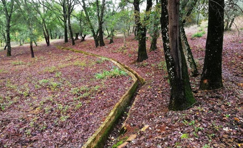 Finca La Liserilla Галароса Экстерьер фото