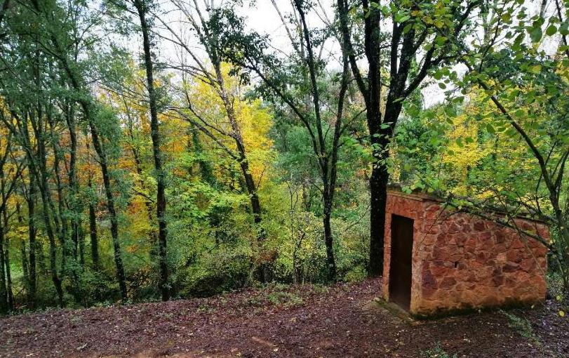 Finca La Liserilla Галароса Экстерьер фото